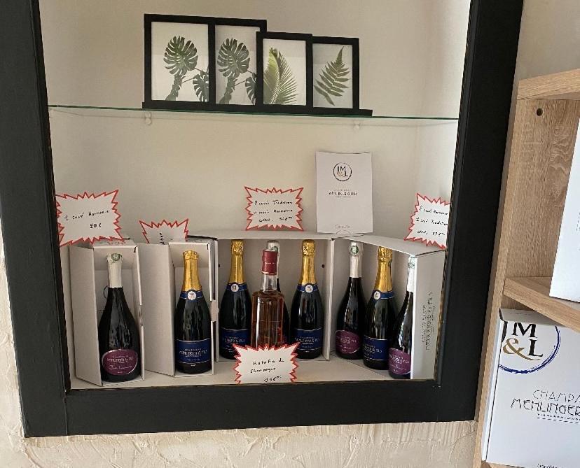 Maison Indiv Au Coeur Du Vignoble Champenois *